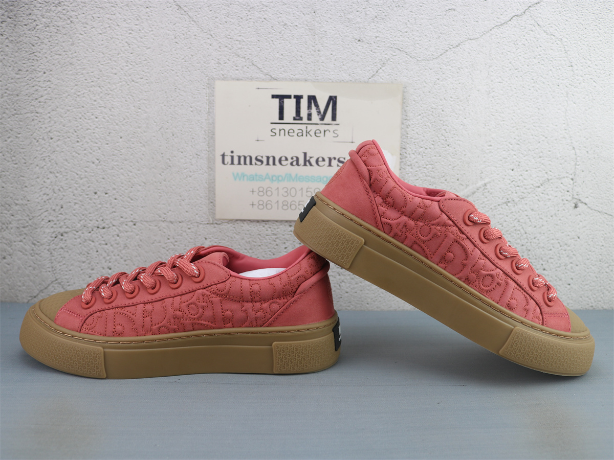 Stone Island x Dior B33 Skateboard Shoes Low-Top Red